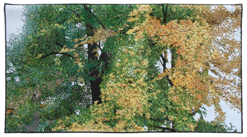 jaroslava-gricova-tree-crowns-in-autumn-colours