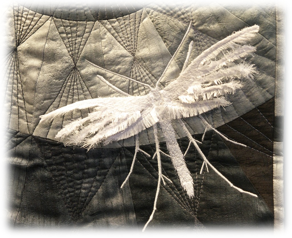 barbara-lange-monochrom-18-feather-moth-detail-01