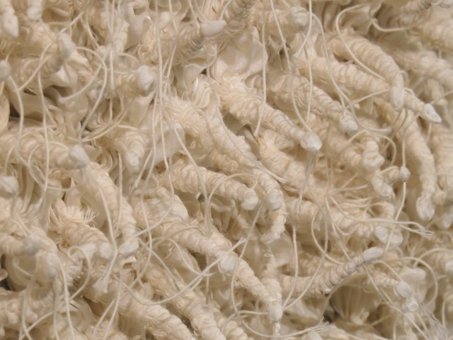 Etsuko Ochiai – Dancing silkworms - Detail